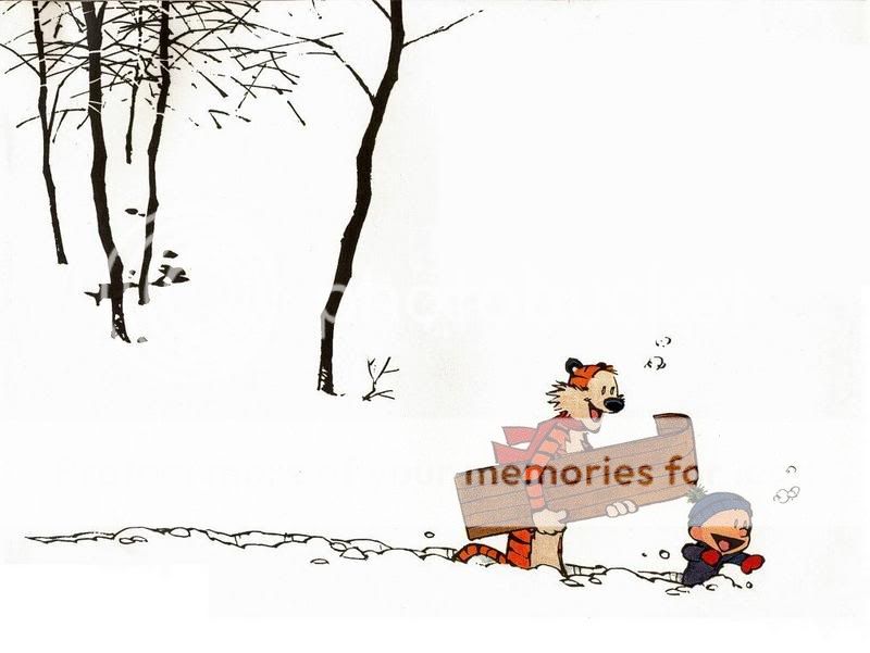 calvin_et_hobbes_1.jpg