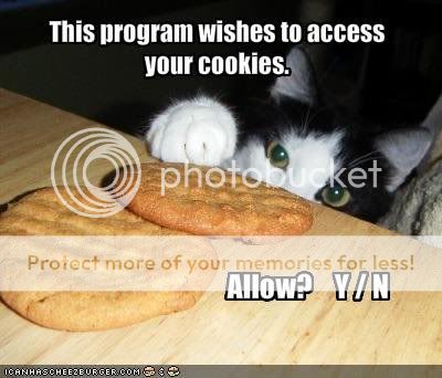 Cookiuecat.jpg
