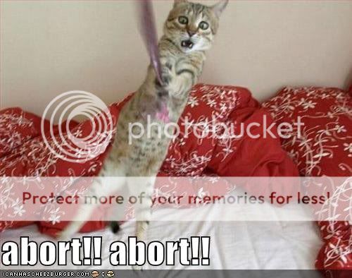 catabort.jpg