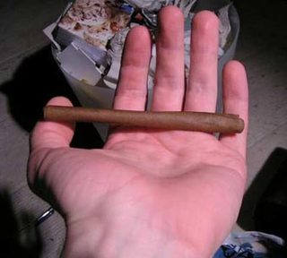 1316365897_how_to_roll_a_blunt_cigar.jpg