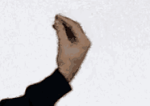 si-hand-gesture.gif