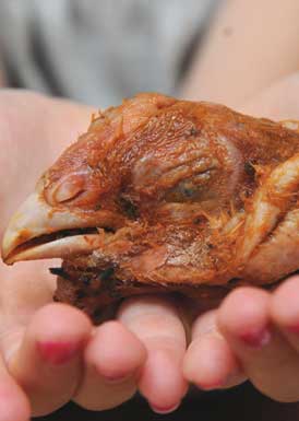 Chicken%2Bhead.jpg